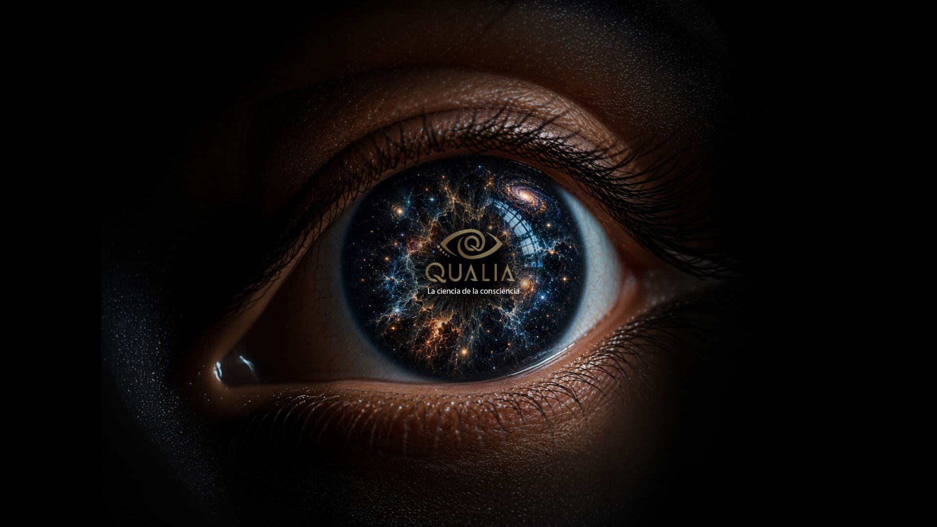 Qualia — La ciencia de la consciencia